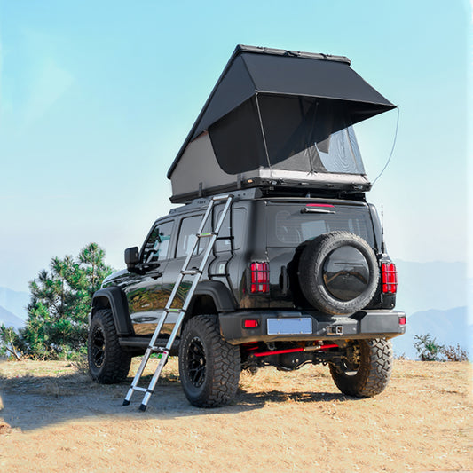 Roof Top Hardshell Tent - For 2-3 People With Ladder
